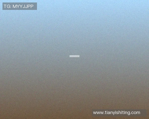投篮转场篮球明星 投篮转场篮球明星