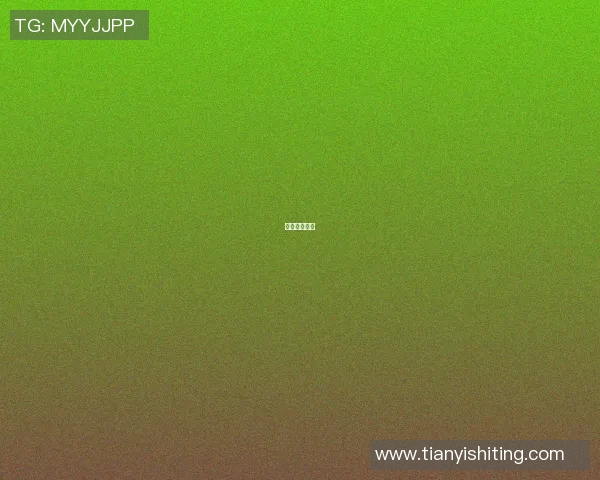 篮球明星刷卡 篮球明星刷卡